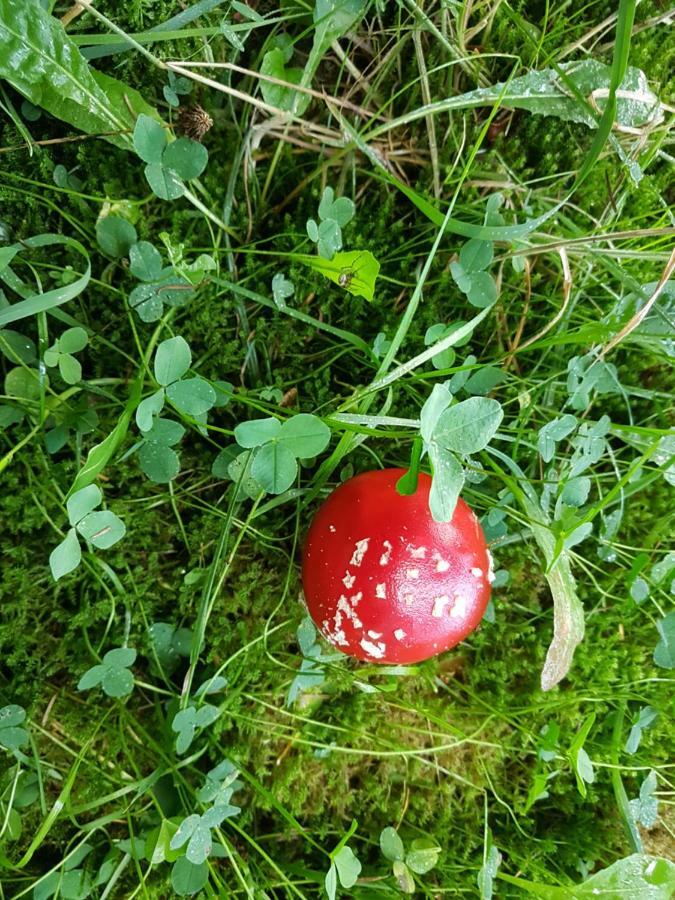 Freundliche Unterkunft Sauerland Meschede Luaran gambar